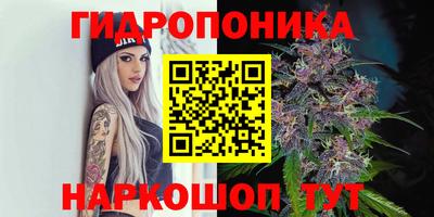 скорость Тверь